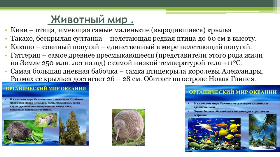 Климат