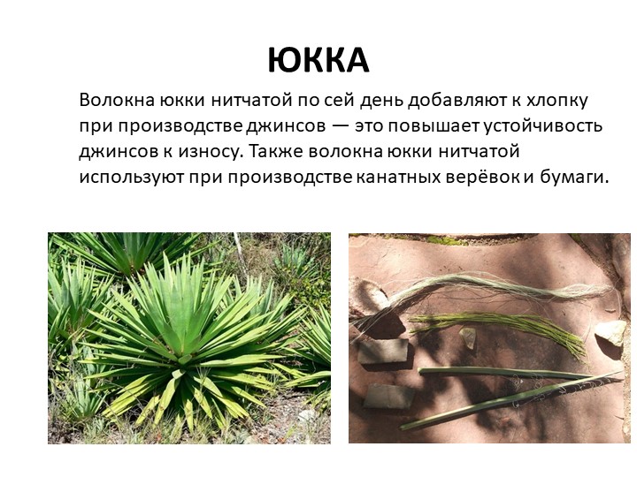 Растительные