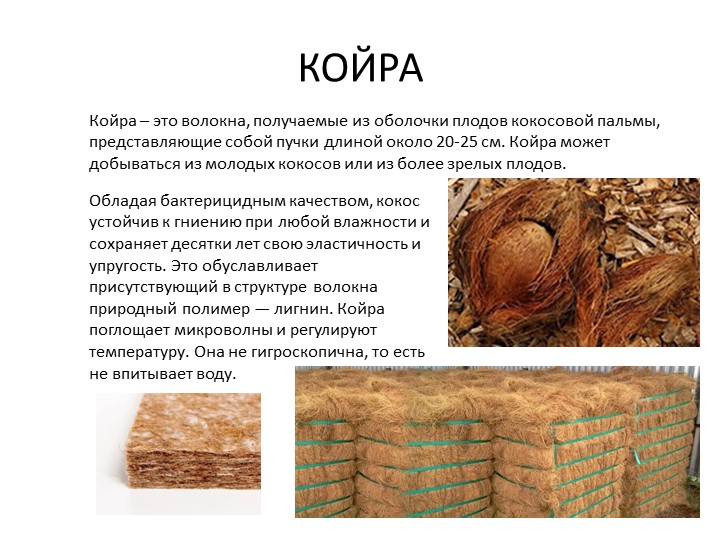 Рами.