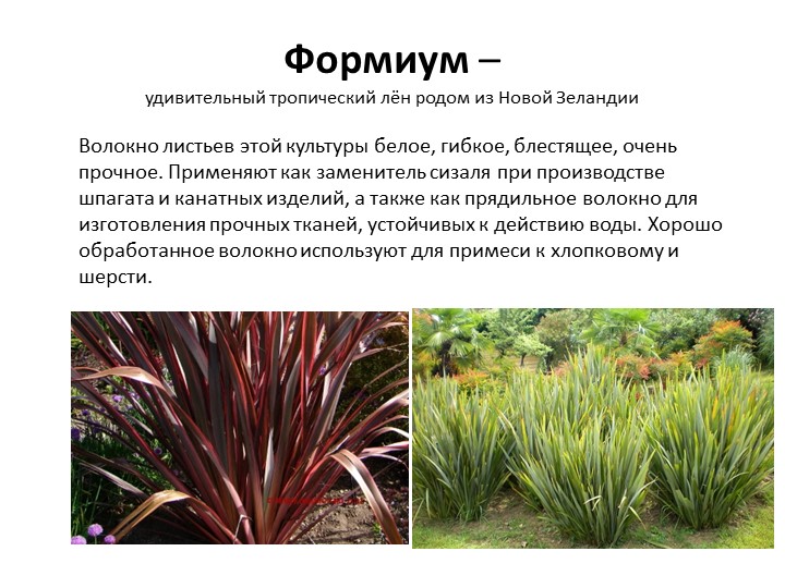 ПРИМЕНЕНИЕ: