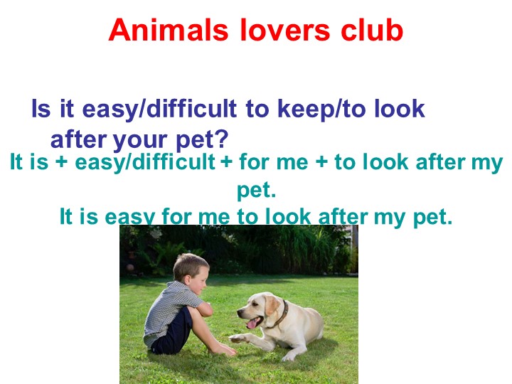 Animals